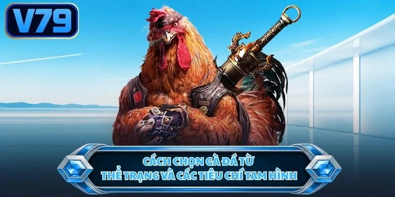 cach-chon-ga-da-tu-the-trang-va-cac-tieu-chi-tam-hinh Cách chọn gà đá từ thể trạng và các tiêu chí tam hình
