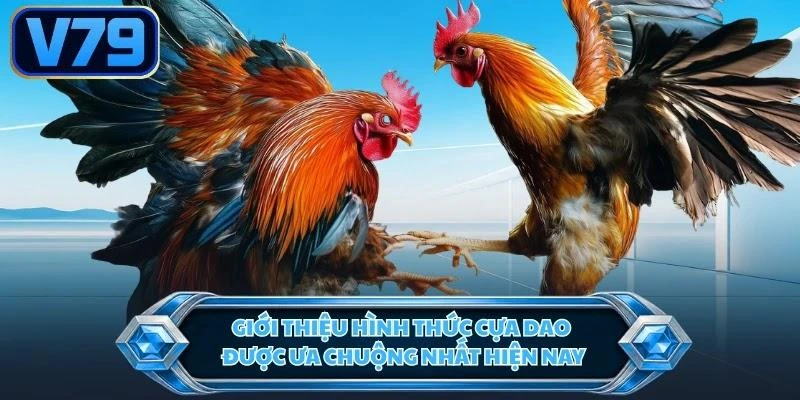 gioi-thieu-hinh-thuc-cua-dao-duoc-ua-chuong-nhat-hien-nay Giới thiệu hình thức cựa dao được ưa chuộng nhất hiện nay