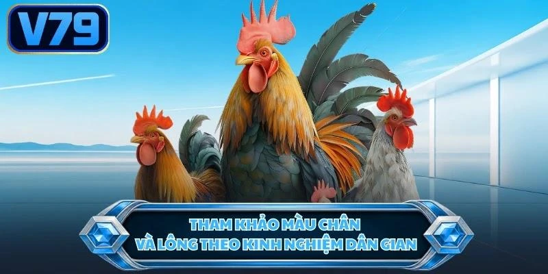 tham-khao-mau-chan-va-long-theo-kinh-nghiem-dan-gian Tham khảo màu chân và lông theo kinh nghiệm dân gian