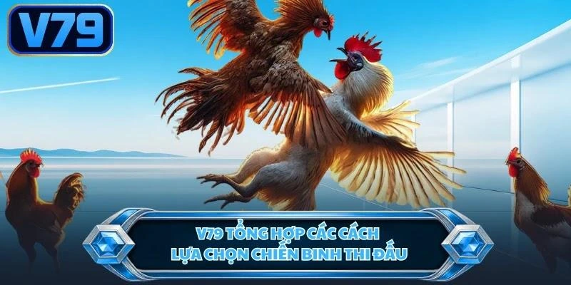 v79-tong-hop-cac-cach-lua-chon-chien-binh-thi-dau V79 tổng hợp các cách lựa chọn chiến binh thi đấu
