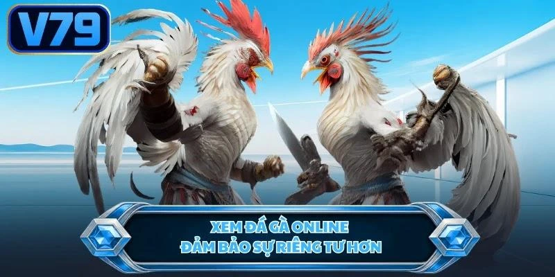 Xem đá gà online đảm bảo sự riêng tư hơn